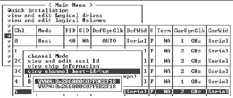 Screen capture showing the channel's worldwide node name and worldwide port name displayed.