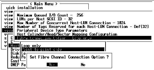 Screen capture shows the "Set Fibre Channel Connection Option?" confirmation message with Yes chosen.