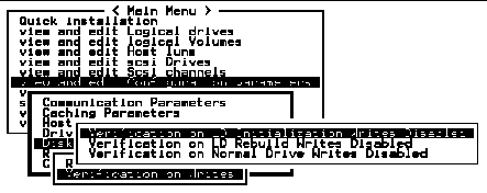 Screen capture showing submenus with "Verification on Writes" and "Verification on LD Initialization Writes Disabled" chosen.