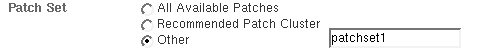 Shows the Patch Set section of the Patch Manager Administration
page.