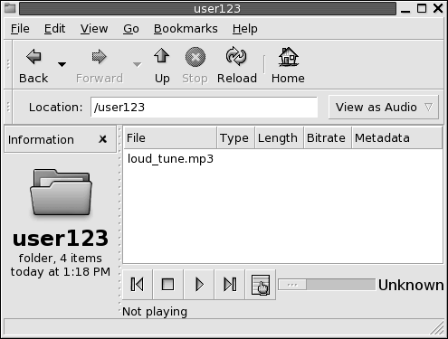 Ordner in einem Dateimanager-Fenster; Inhalt in der Audio-Ansicht.