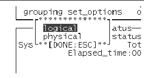 Screenshot of the SunVTS TTY grouping menu which displays the logical and physical options.