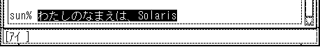 画面上で、「わたしのなまえは、Solaris」と反転表示しています。
