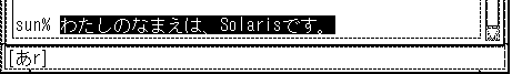 画面上で、「わたしのなまえは、Solarisです。」と反転表示しています。