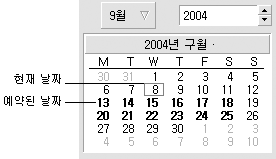 일반적인 미리 보기 섹션설명선: 현재 날짜, 예약된 날짜