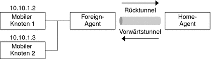 Die Abbildung zeigt die Netzwerktopologie zweier mobiler Knoten mit privaten Adressen, die die gleiche Care-Of-Adresse verwenden, wenn sie sich beim gleichen Foreign-Agent registrieren.