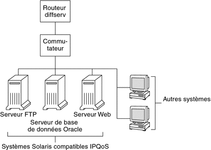 Le schéma de la topologie présente un réseau local avec un routeur Diffserv et trois systèmes IPQoS, à savoir : un serveur FTP, un serveur de base de données et un serveur Web.