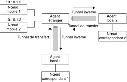 Illustre la topologie de réseau de deux nœuds mobiles possédant des adresses privées et résidant sur deux réseaux étrangers différents.