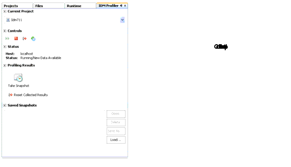 ͼʾ NetBeans е "IDM Profiler" ͼ֡
