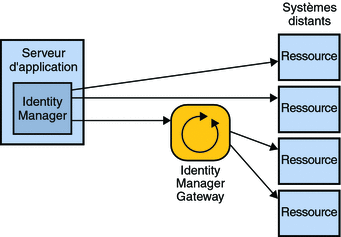 Diagramme montrant qu'Identity Manager se connecte directement à certaines ressources et au travers d'Identity Manager Gateway à d'autres.