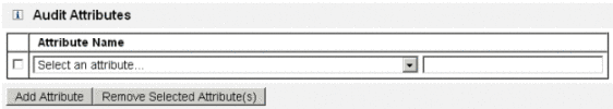 Figure représentant la section Attributs d'audit. 