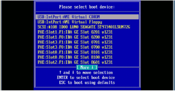 Please Select Boot Device menu