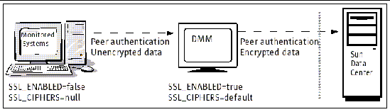 Example of SSL settings on the monitored system and DMM.