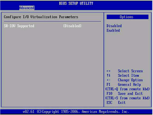 image:I/O Virtualization Parameters screen.
