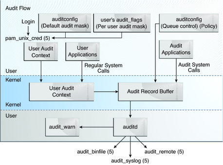Graphic shows identification and authentication for auditing, then the flow from audit class preselection to plugin output.