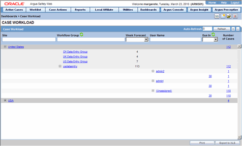 Oracle case when example