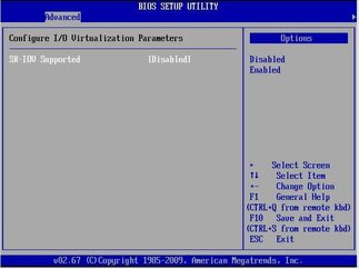 image:Figure showing BIOS Advanced Menu I/O Virtualization screen.