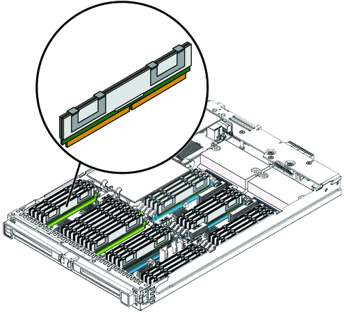image:An illustration showing the DIMMs in the server.