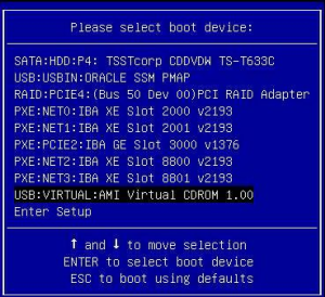 image:This graphic shows the Please Select Boot Device menu (redirect).