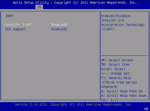 image:This figure shows the IOAT screen.