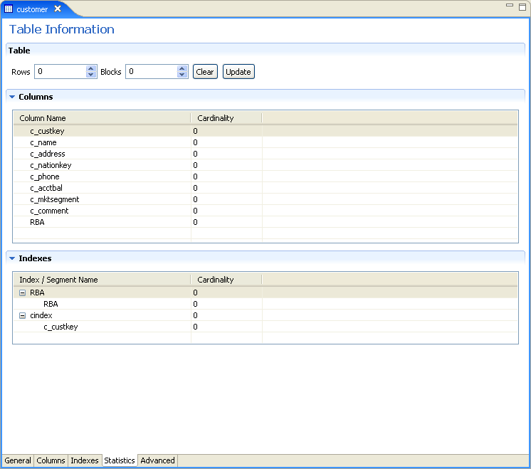 データソース・メタデータの「Statistics」タブ