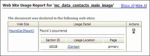 Site Usage Report as viewed on the screen