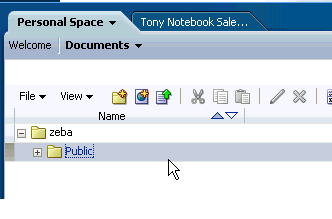 Highlighting the Public folder