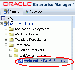 Navigating to the WebCenter Spaces Home Page