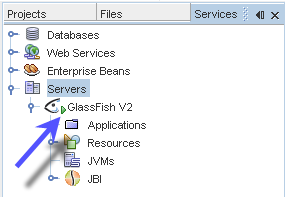 image:Application Server Running