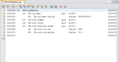 image:Image of an imported COBOL copybook file