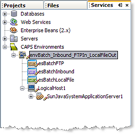 image:Image shows the envBatch_Inbound_FTPIn_LocalFileOut Environment in the Services window