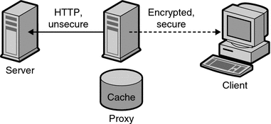 Diagram showing a secure client connection to proxy.