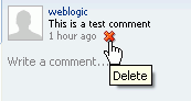 Deleting a Comment