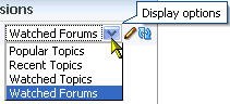 Display Options menu