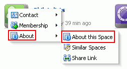 Space Actions Menu: About this Space