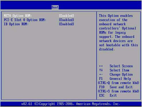 「Option ROM Enable」画面。