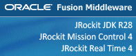 Oracle Fusion Middleware