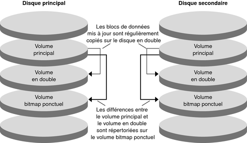 La figure montre un instantané ponctuel.