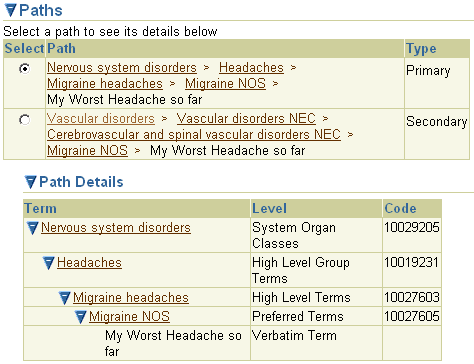 Description of lb_term_details_dv_path.gif follows