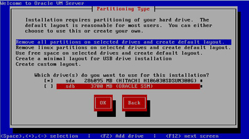 image:Partitioning Type screen.