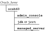 Directory structure during installation