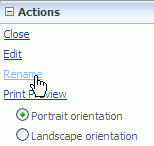 bam_as_action_rename.gifの説明が続きます