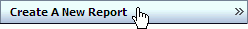 bam_createreport_button.gifの説明が続きます