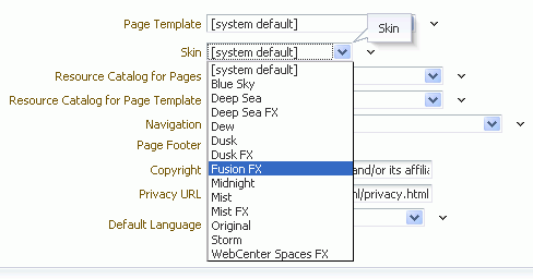 Choosing a Skin for a Space