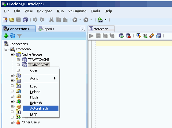 Surrounding text describes alterautorefresh.gif. Surrounding text describes alterautorefresh.gif.
