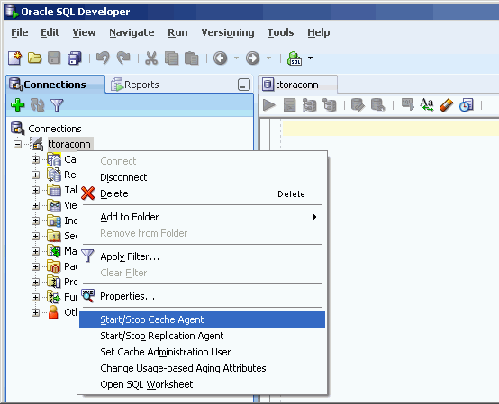 Surrounding text describes cacheagent.gif.