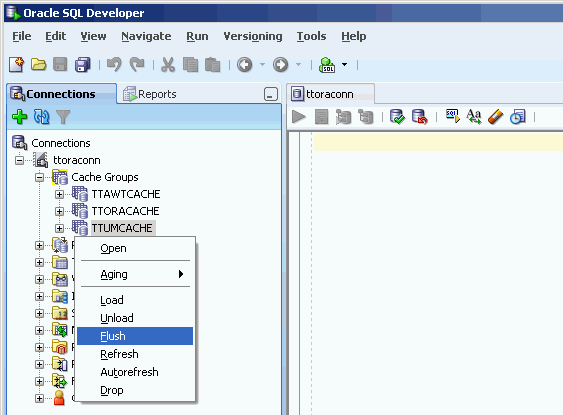 Surrounding text describes flushcachegroup.gif.