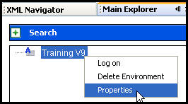 Properties option on Environment right-click menu
