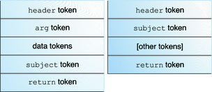 image:Diagram shows a typical audit record structure, which includes a header token followed by an arg, a data, a subject, and a return token.