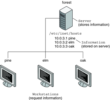 image:Illustration shows server and clients in client-server computing relationship.